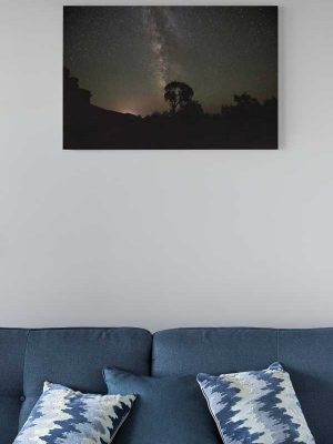 Milky Way over Garden of Eden #2