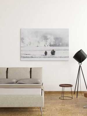 Bison in Lower Geyser Basin