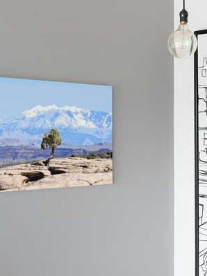 Juniper and La Sal Mountains