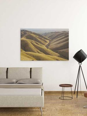 Rolling Panoche Hills