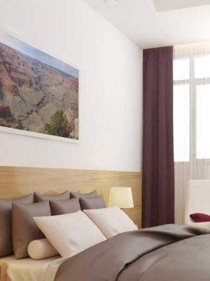 View from Pima Point