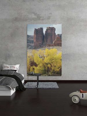 Fall Foliage at Courthouse Towers