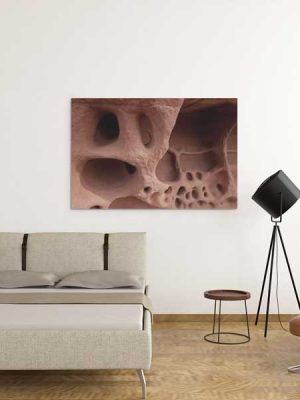 Tafoni at Arches