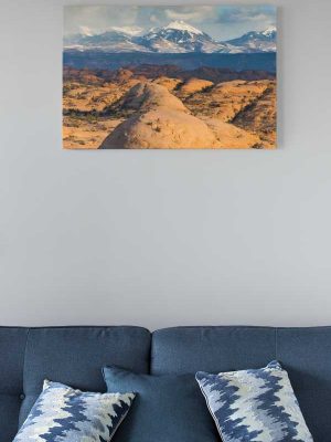 Petrified Dunes